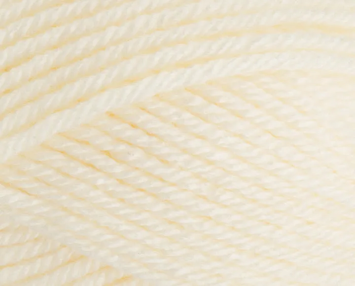 Stylecraft Special Chunky 100g