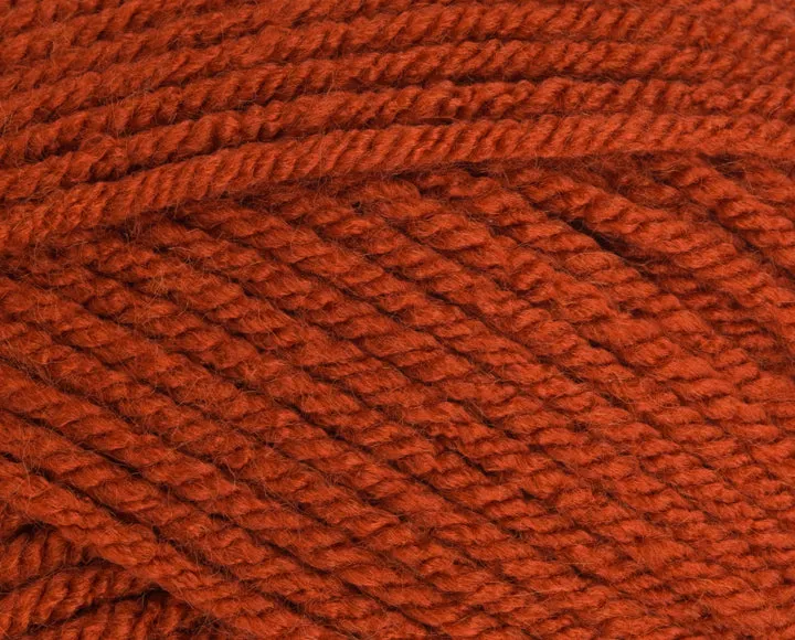 Stylecraft Special Chunky 100g