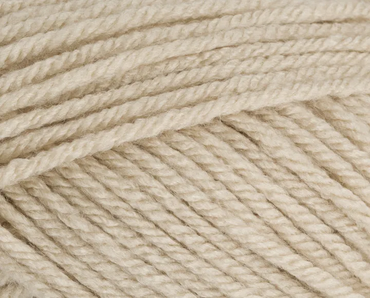 Stylecraft Special Chunky 100g