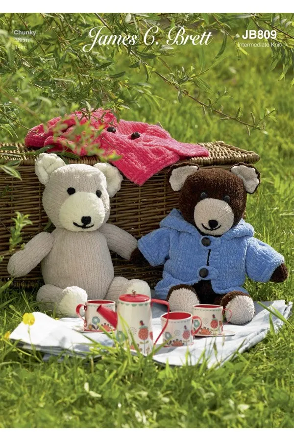 Teddy picnic James C Brett JB809