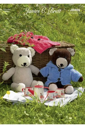 Teddy picnic James C Brett JB809